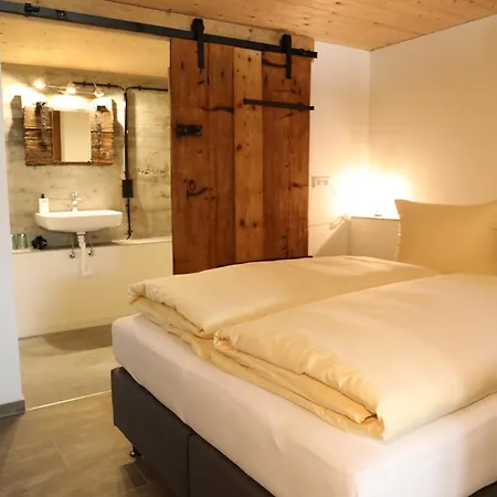 Gadenhaus-fuer Ferien&business Am Bodensee Apartment Singen