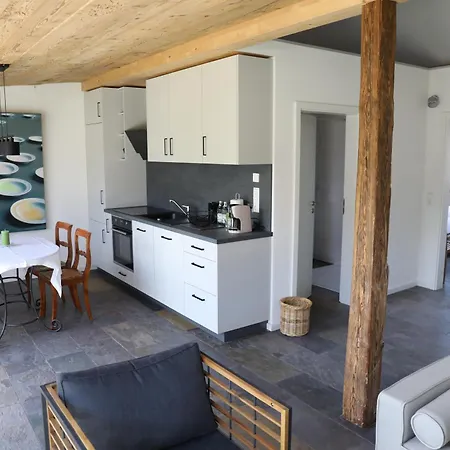 Gadenhaus-fuer Ferien&business Am Bodensee * Singen