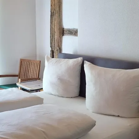 Apartment Gadenhaus-fuer Ferien&business Am Bodensee Singen