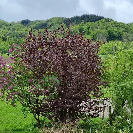 Gadenhaus-fuer Ferien&business Am Bodensee