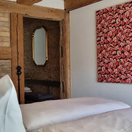 Gadenhaus-fuer Ferien&business Am Bodensee * Singen