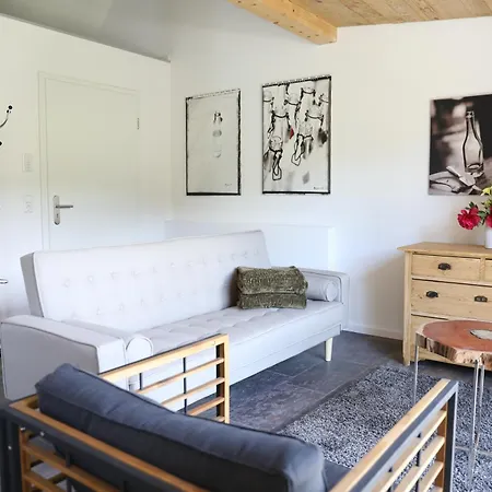 Gadenhaus-fuer Ferien&business Am Bodensee Daire Singen
