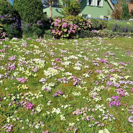 Gadenhaus-fuer Ferien&business Am Bodensee * Singen