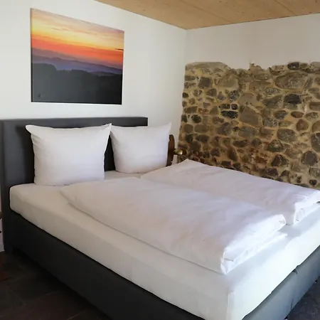 Gadenhaus-fuer Ferien&business Am Bodensee *