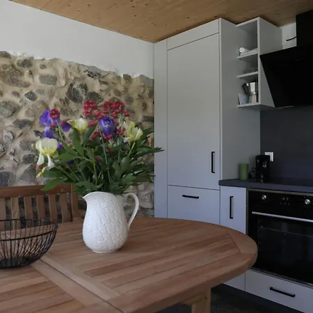Gadenhaus-fuer Ferien&business Am Bodensee * Singen