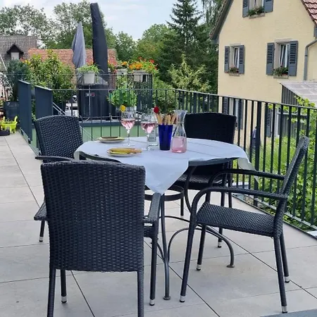 Daire Gadenhaus-fuer Ferien&business Am Bodensee Singen