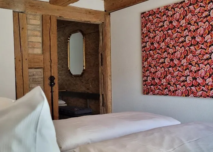 Gadenhaus-fuer Ferien&business Am Bodensee * 징엔